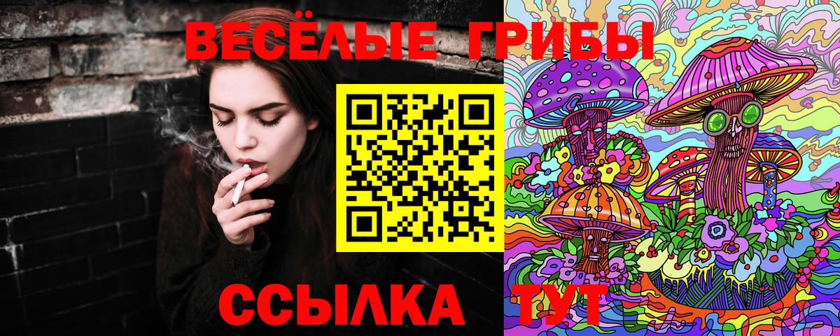 даркнет сайт  Псилоцибиновые грибы ЛСД  Вход с VPN  Острогожск 