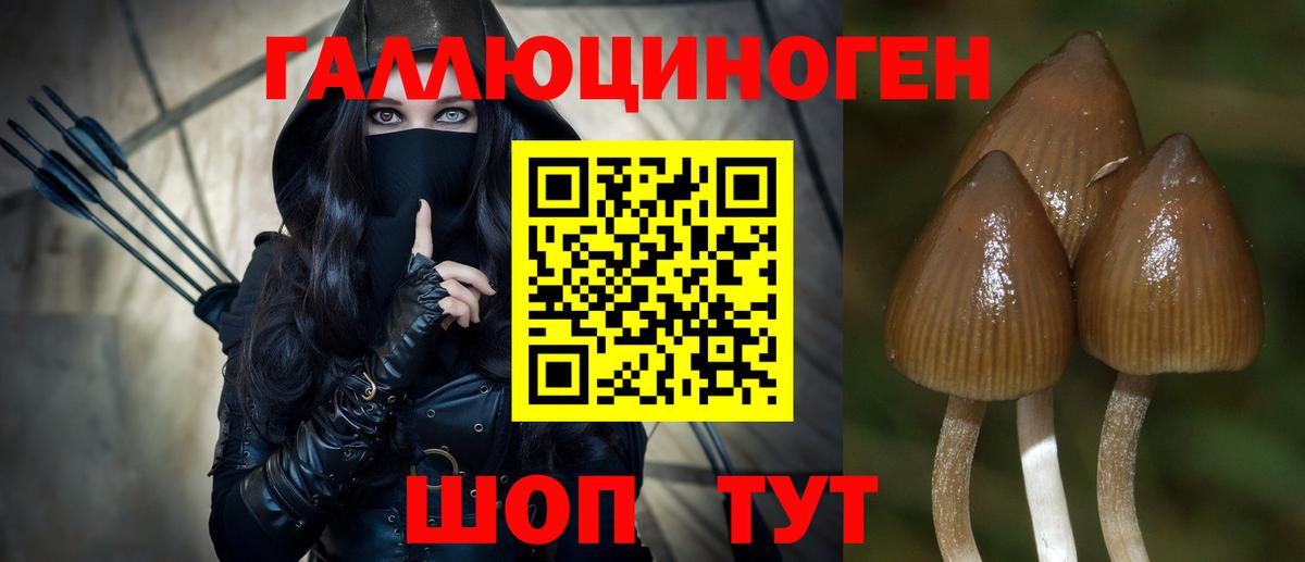 Псилоцибиновые грибы мицелий Острогожск